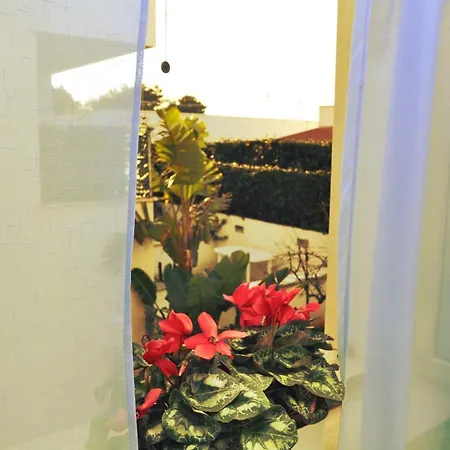 Salentoholidays Holiday home